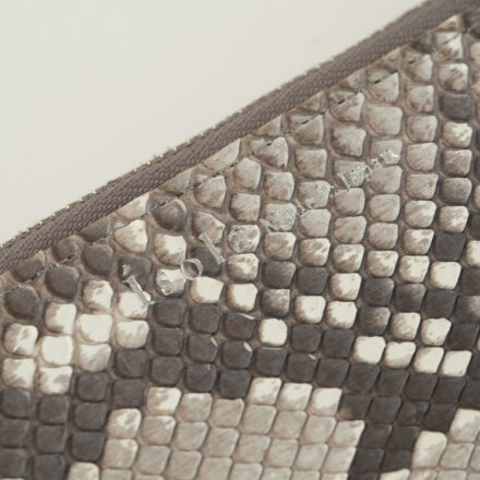 マットパイソンの画像