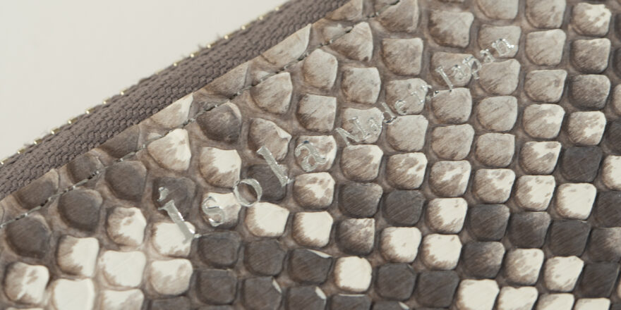 マットパイソンの画像