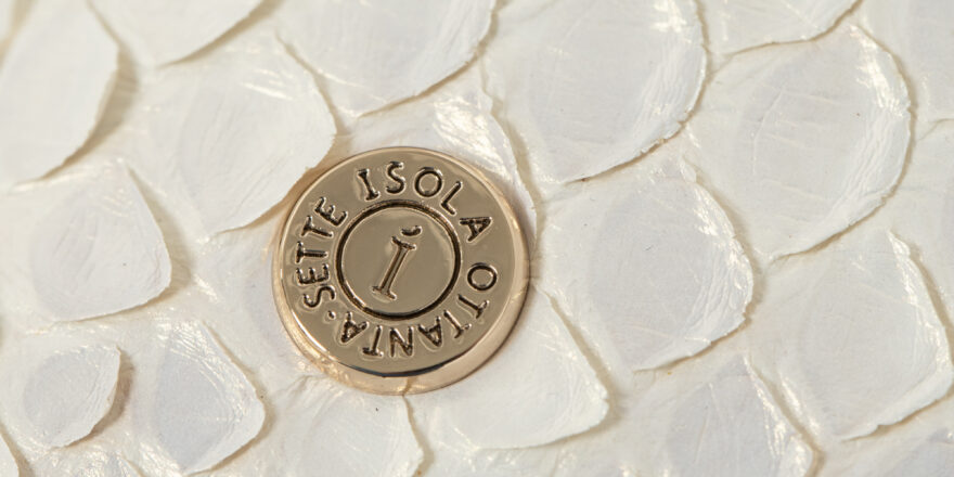 ミスティパールの画像