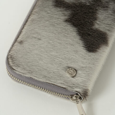 アザラシの画像