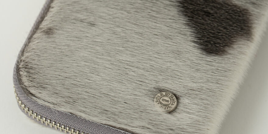 アザラシの画像