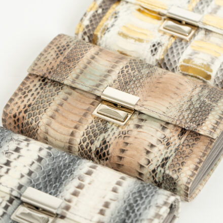 ラディアータの画像