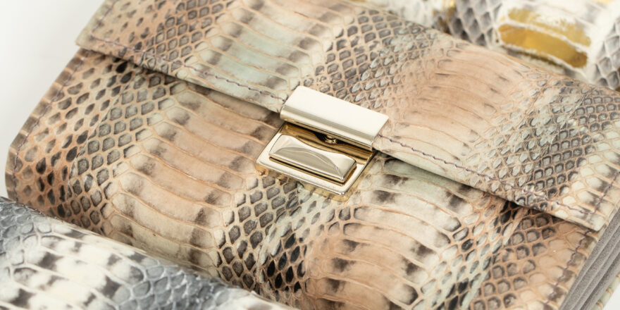 ラディアータの画像