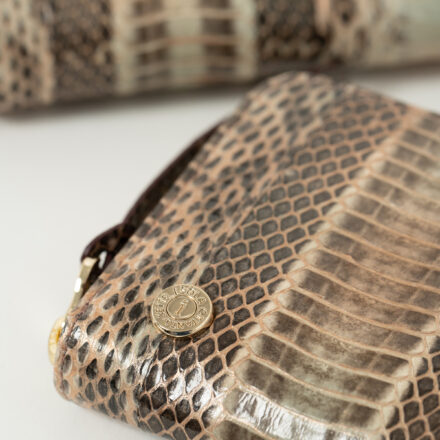 ラディアータの画像