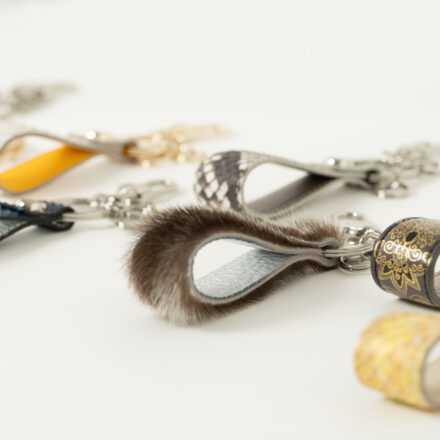 タカロアの画像