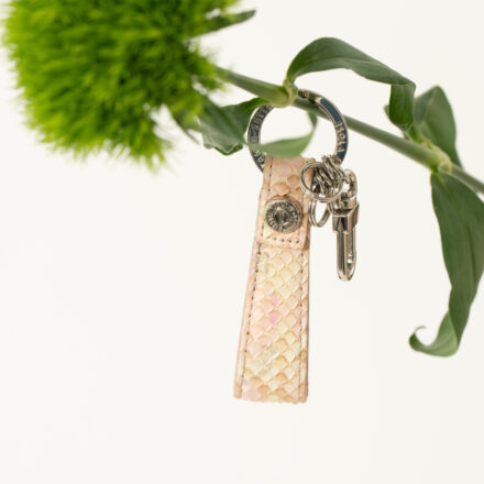 タカロアの画像