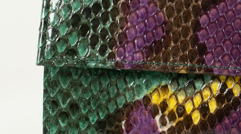 スペシャルの画像